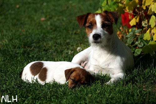 100714_inka lilli.jpg - Inka & Lilli